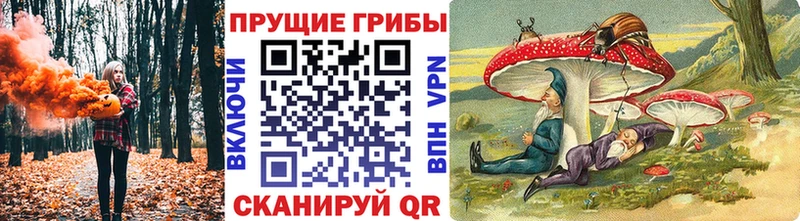 Псилоцибиновые грибы Cubensis  Купить где  Анадырь 